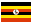 UG