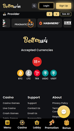 Betterwin Casino Mobile Game Developers
