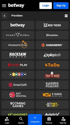 Betway Casino Mobile Game Developers