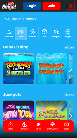 Daily Record Bingo Mobile Games