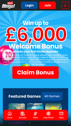 Daily Record Bingo Mobile Homepage