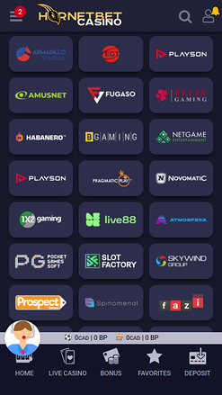 Hornetbet Casino Mobile Game Developers