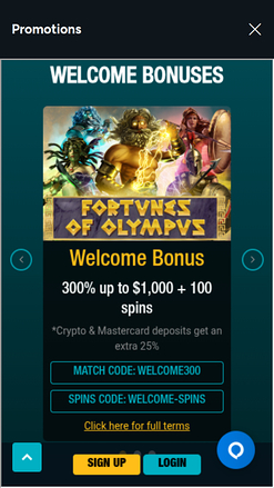 Island Reels Casino Mobile Promotions