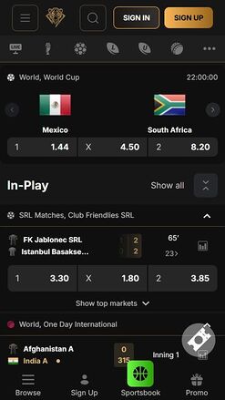 PantherBet Casino Mobile Sports