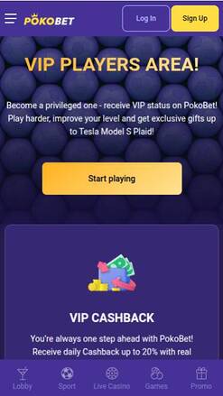 PokoBet VIP Program