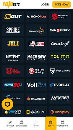 Rajabets Casino Mobile Game Developers