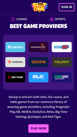 Slot Owl Casino Mobile Game Developers