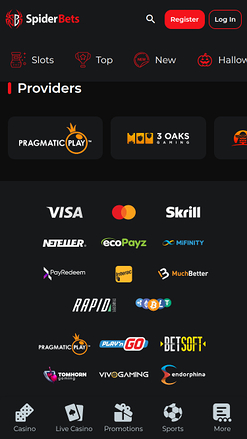 SpiderBets Casino Game Developers