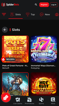 SpiderBets Casino Games