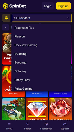 Spinbet Casino Mobile Game Developers