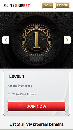 ToonieBet Casino Mobile VIP Program