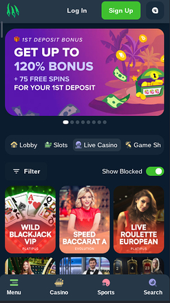 Wild.io Casino Live Dealer Mobile