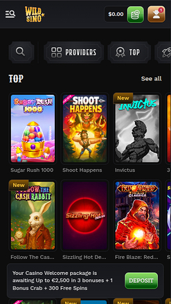 Wildsino Casino Mobile Games