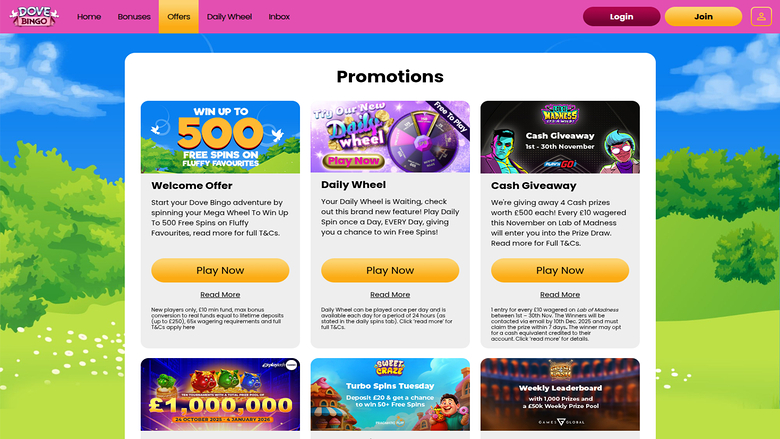 Dove Bingo Casino Desktop Promotions