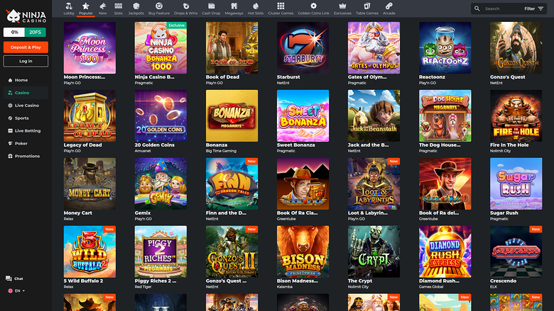 Ninja Casino Desktop Games
