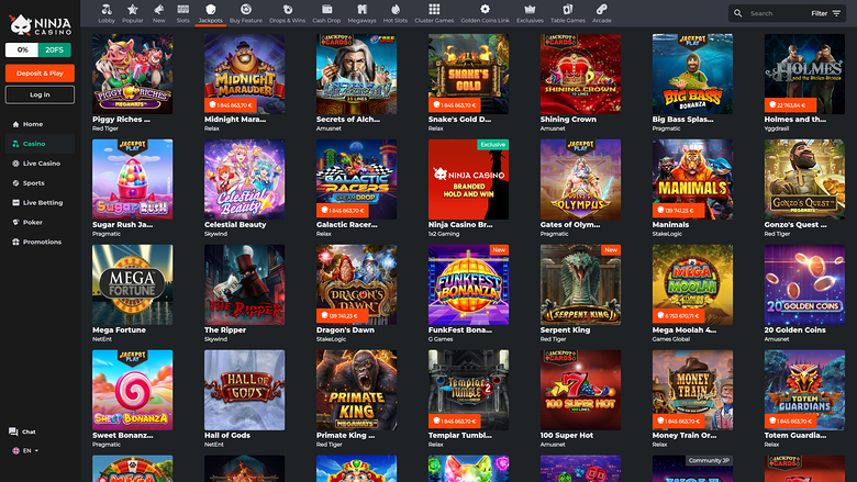 Ninja Casino Desktop Jackpot