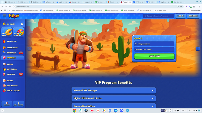 Pistolo Casino Desktop VIP Program