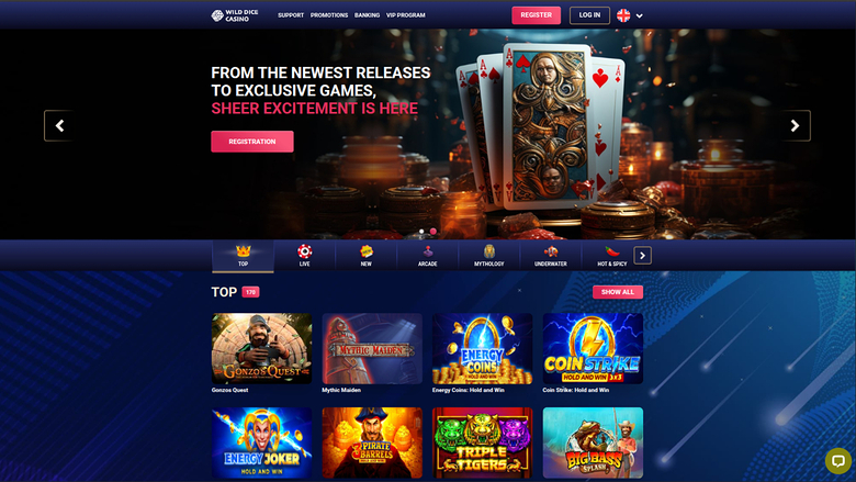 Wild Dice Casino Desktop Homepage