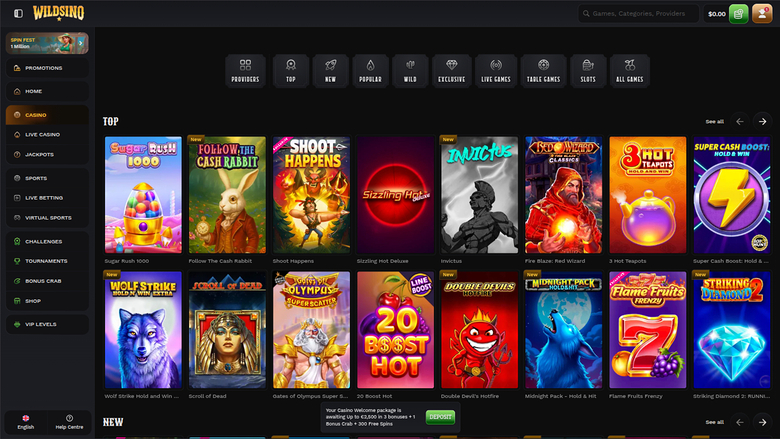 Wildsino Casino Desktop Games