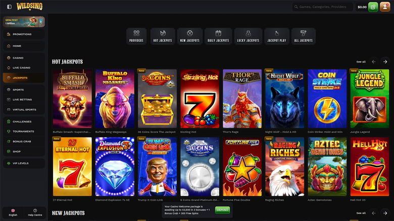 Wildsino Casino Desktop Jackpot