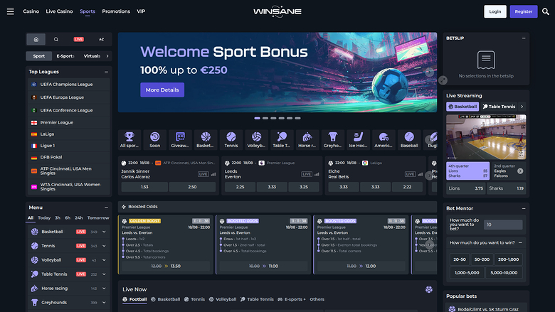 Winsane Casino Desktop Sports