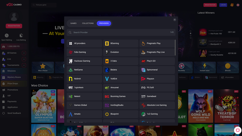 Woo Casino Desktop Game Developers