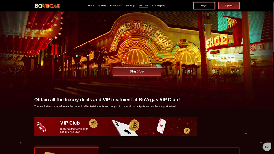 BoVegas Casino Desktop VIP Program