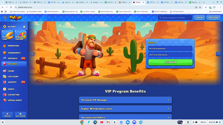 Pistolo Casino Desktop VIP Program