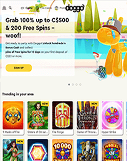 Doggo Casino Screenshot