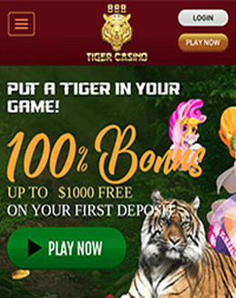 888 tiger 888 tiger