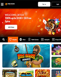 TigerRiches Casino Screenshot