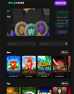 Wildcoins Casino Screenshot