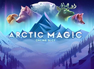 Arctic Magic
