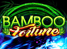 Bamboo Fortune