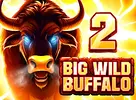 Big Wild Buffalo 2