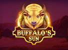 Buffalos Sun