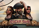 Calico Jack Jackpot preview