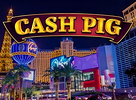 Cash Pig