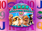 Doggone Lucky