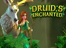 Druids Enchanted