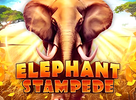 Elephant Stampede