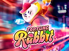 Fortune Rabbit