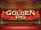 Golden Pig
