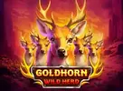 Goldhorn Wild Herd