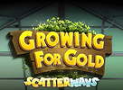 Growing for Gold