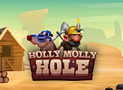 Holly Molly Hole