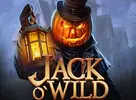 Jack O Wild