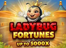 Ladybug Fortunes