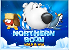 Northern Boom