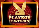 Playboy Fortunes preview